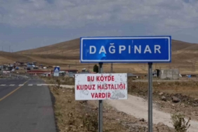 karsta-kuduz-tehdidi-bir-beldede-karantina-uygulamasi-dvNZzaTp.jpg