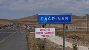 karsta-kuduz-tehdidi-bir-beldede-karantina-uygulamasi-dvNZzaTp.jpg