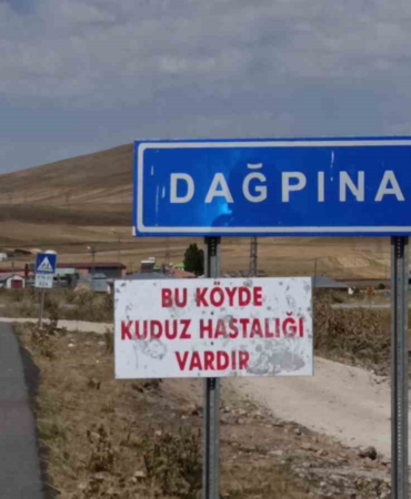 karsta-kuduz-tehdidi-bir-beldede-karantina-uygulamasi-dvNZzaTp.jpg