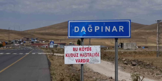Kars'ta Kuduz Tehdidi: Bir Beldede Karantina Uygulaması Kars’ta Kuduz Tehdidi: Bir Beldede Karantina Uygulaması