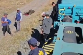 karsta-yuk-treni-5-hayvani-hayattan-kopardi-R1ZpmwMU.jpg