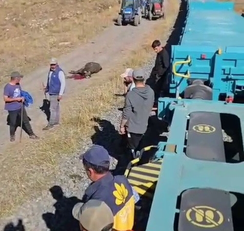karsta-yuk-treni-5-hayvani-hayattan-kopardi-R1ZpmwMU.jpg