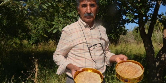 Malatya'da Bal Hasadı: Doğanın Tatlı İkramı Başladı! Malatya’da Bal Hasadı: Doğanın Tatlı İkramı Başladı!