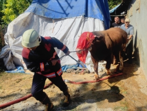 malatyada-korkutan-ahir-yangini-yanginin-sebepleri-ve-onlemler-Onst4tTj.jpg
