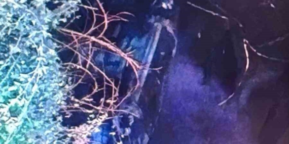 Malatya'da Şarampole Yuvarlanan Araçta Yangın: 1 Kişi Yaralı Malatya’da Şarampole Yuvarlanan Araçta Yangın: 1 Kişi Yaralı