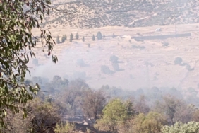 mardin-orman-yangini-kontrol-altina-alindi-son-gelismeler-li8cjKMQ.jpg