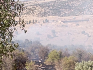 mardin-orman-yangini-kontrol-altina-alindi-son-gelismeler-li8cjKMQ.jpg