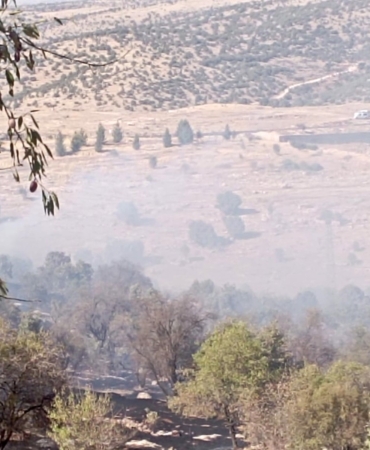 mardin-orman-yangini-kontrol-altina-alindi-son-gelismeler-li8cjKMQ.jpg