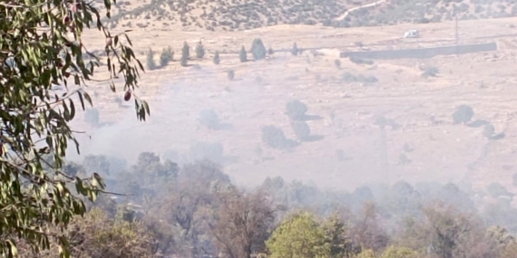 Mardin Orman Yangını Kontrol Altına Alındı: Son Gelişmeler Mardin Orman Yangını Kontrol Altına Alındı: Son Gelişmeler