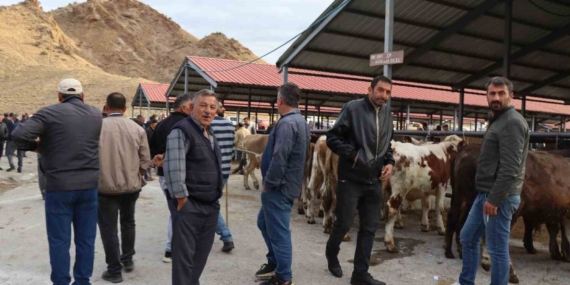 Oltu Canlı Hayvan Pazarında Şap Hastalığı Sonrası Yeniden Canlanma