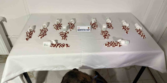 Tunceli'de Narkotik Köpeği 'Ayar' Uyuşturucuyu Buldu, 2 Şüpheli Yakalandı Tunceli’de Narkotik Köpeği ‘Ayar’ Uyuşturucuyu Buldu, 2 Şüpheli Yakalandı