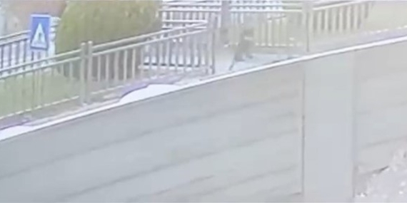 Yola Aniden Çıkan Çocuk, Aracın Altında Kalmaktan Son Anda Kurtuldu Yola Aniden Çıkan Çocuk, Aracın Altında Kalmaktan Son Anda Kurtuldu