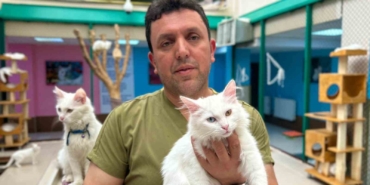 30 Yılın Özverisi: Van Kedilerine Adanmış Bir Ömür 30-yilin-ozverisi-van-kedilerine-adanmis-bir-omur-wBmUhQwJ.jpg