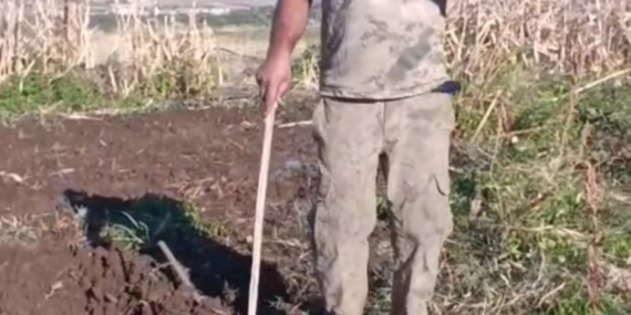 Bahçesini Talan Eden Domuza ‘Benden Uzak Durmazsan Kalemini Kırarım’ Dedi