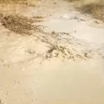 Elazığ’da İlginç Yöntem: 35 Bin Liralık Air Süspansiyon Yerine Bagajına Taş Koydu thumbnail