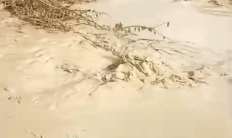 Baskil'de Derelerin Taşmasıyla Yaşanan Doğal Afetler Baskil’de Derelerin Taşmasıyla Yaşanan Doğal Afetler