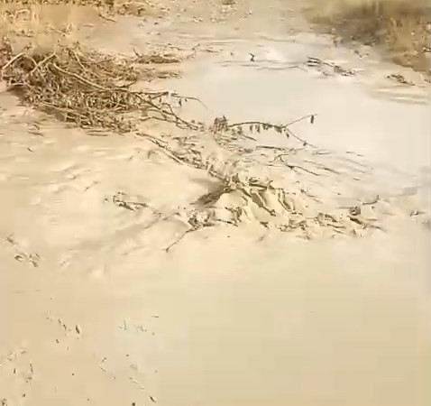 Baskil'de Derelerin Taşmasıyla Yaşanan Doğal Afetler baskilde-derelerin-tasmasiyla-yasanan-dogal-afetler-gpIf35Ve.jpg