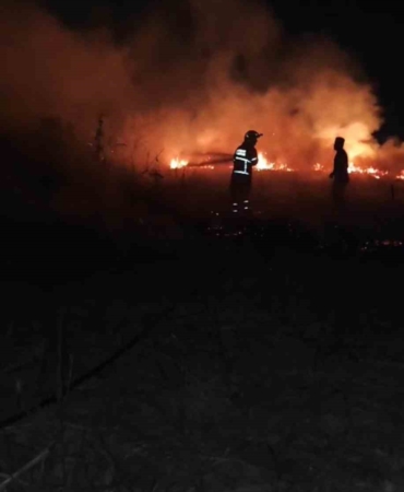 Batman'da Anız Yangını: Küller Arasında Kaybolan 30 Dönüm Toprak batmanda-aniz-yangini-kuller-arasinda-kaybolan-30-donum-toprak-mJSwdDf3.jpg