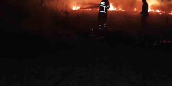 Batman'da Anız Yangını: Küller Arasında Kaybolan 30 Dönüm Toprak Batman’da Anız Yangını: Küller Arasında Kaybolan 30 Dönüm Toprak