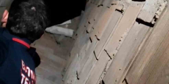 Batman'da Havalandırma Boşluğundan Kurtarılan Kedi Sevinçle Sahiplenildi Batman’da Havalandırma Boşluğundan Kurtarılan Kedi Sevinçle Sahiplenildi