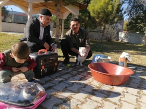 cami-imaminin-yuzlerce-kediye-sefkat-dolu-bakisi-NrZ7Vzwl.jpg