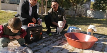Cami İmamının Yüzlerce Kediye Şefkat Dolu Bakışı cami-imaminin-yuzlerce-kediye-sefkat-dolu-bakisi-NrZ7Vzwl.jpg