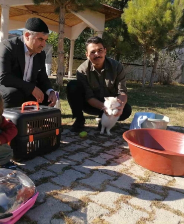 cami-imaminin-yuzlerce-kediye-sefkat-dolu-bakisi-NrZ7Vzwl.jpg