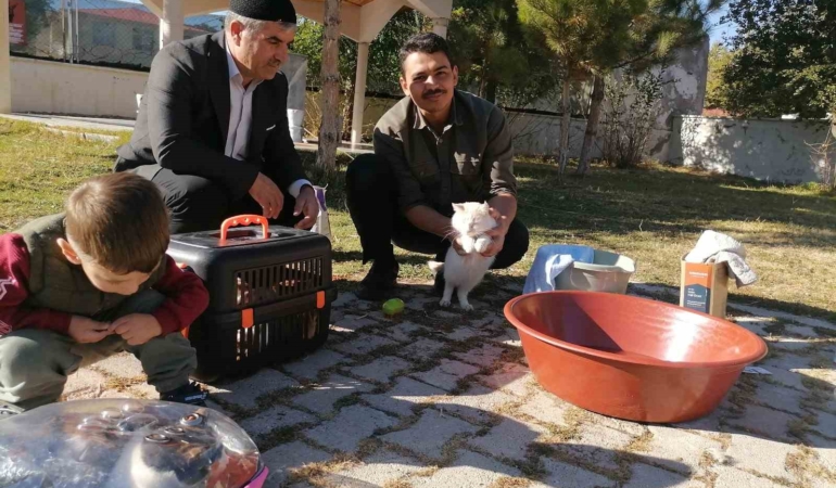 cami-imaminin-yuzlerce-kediye-sefkat-dolu-bakisi-NrZ7Vzwl.jpg