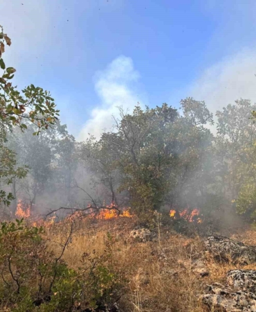diyarbakirda-7-saat-suren-ortu-yangini-helikopter-destegiyle-kontrol-altina-alindi-9DNfIfNf.jpg