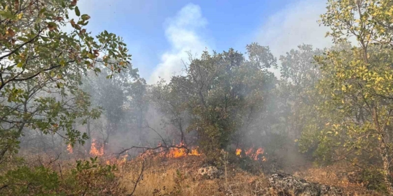 Diyarbakır'da 7 Saat Süren Örtü Yangını, Helikopter Desteğiyle Kontrol Altına Alındı Diyarbakır’da 7 Saat Süren Örtü Yangını, Helikopter Desteğiyle Kontrol Altına Alındı