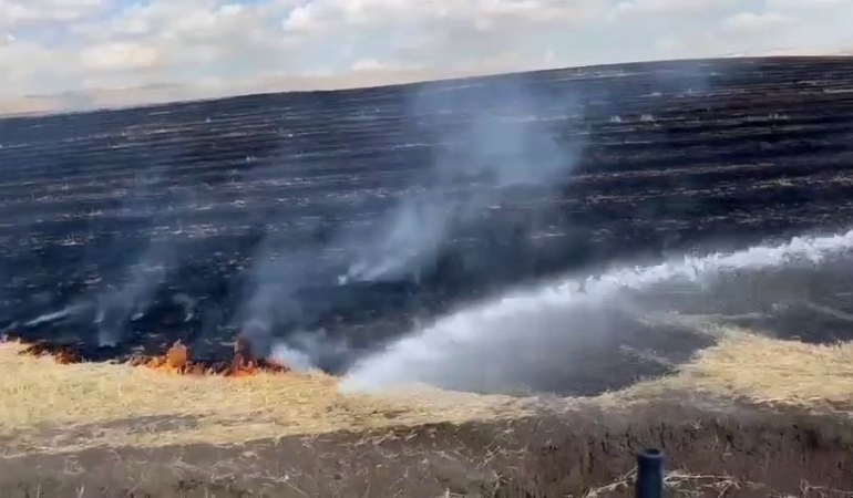 Diyarbakır'da Korkutan Anız Yangını: Son Gelişmeler diyarbakirda-korkutan-aniz-yangini-son-gelismeler-QRqe1UHh.jpg