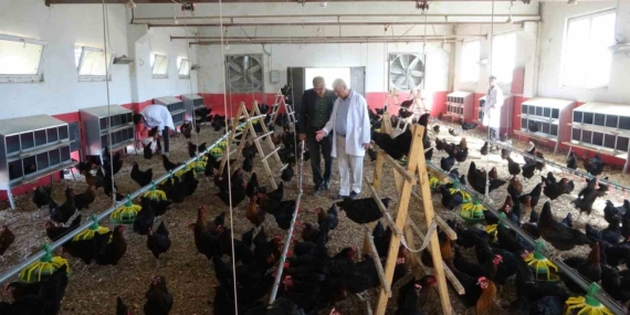 Eğitimde Yenilik: Çiftlik Temalı Okul Deneyimi Eğitimde Yenilik: Çiftlik Temalı Okul Deneyimi