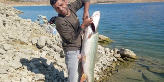 Elazığ'da Amatör Balıkçı 22 Kiloluk Turna ile Göz Doldurdu Elazığ’da Amatör Balıkçı 22 Kiloluk Turna ile Göz Doldurdu