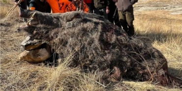 Elazığ'da Avcıların 250 Kiloluk Domuz Avı Başarısı elazigda-avcilarin-250-kiloluk-domuz-avi-basarisi-6DNlb1LK.jpg
