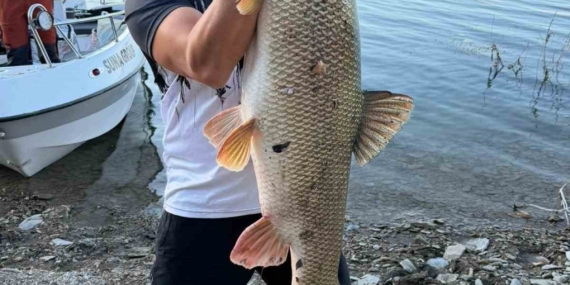 Elazığ'da Balıkçı, 70 Kilogramlık Dev Turnayı Ağıra Aldı Elazığ’da Balıkçı, 70 Kilogramlık Dev Turnayı Ağıra Aldı