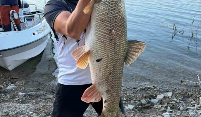 elazigda-balikci-70-kilogramlik-dev-turnayi-agira-aldi-NpydhhbM.jpg