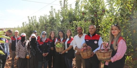 Elazığ'da Lezzetli Elma Hasadı: Doğanın Bereketi Elazığ’da Lezzetli Elma Hasadı: Doğanın Bereketi