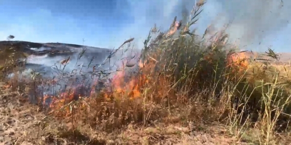 Elazığ'daki Otluk Alanda Meydana Gelen Yangın Elazığ’daki Otluk Alanda Meydana Gelen Yangın