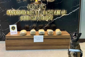 erzurumda-5-kilo-200-gram-skunk-maddesi-ele-gecirildi-uyusturucu-ile-mucadelede-onemli-basari-sez8btEi.jpg