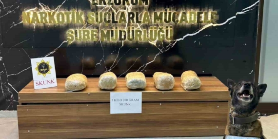 Erzurum'da 5 Kilo 200 Gram Skunk Maddesi Ele Geçirildi: Uyuşturucu ile Mücadelede Önemli Başarı Erzurum’da 5 Kilo 200 Gram Skunk Maddesi Ele Geçirildi: Uyuşturucu ile Mücadelede Önemli Başarı