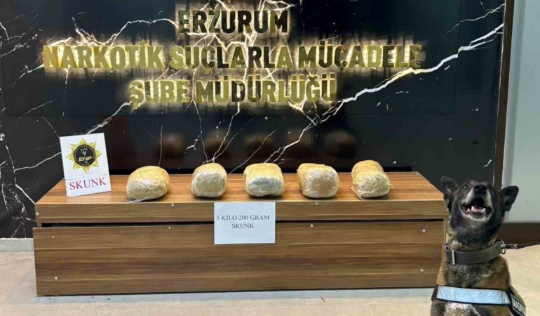 erzurumda-5-kilo-200-gram-skunk-maddesi-ele-gecirildi-uyusturucu-ile-mucadelede-onemli-basari-sez8btEi.jpg
