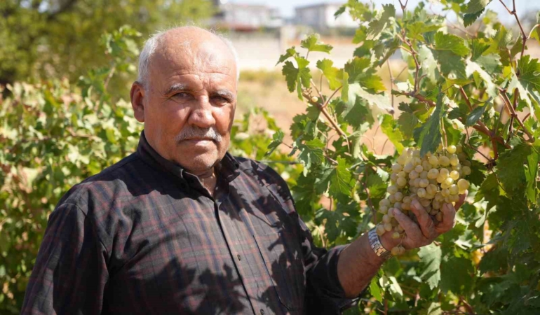 fistik-sehrinin-uzum-bagi-ureticilere-ilham-kaynagi-oluyor-ODUa48pT.jpg
