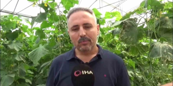 İlçede Sera İhtiyacını Karşılamak İçin 10 Bin Metrekarelik Salatalık Serası Kuruldu İlçede Sera İhtiyacını Karşılamak İçin 10 Bin Metrekarelik Salatalık Serası Kuruldu