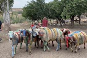 karsta-geleneksel-koc-katim-festivali-renkli-goruntuler-ve-asirlik-miras-RYd7MyQZ.jpg