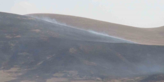 Kars'ta Korkutan Anız Yangını: Olayın Detayları Kars’ta Korkutan Anız Yangını: Olayın Detayları