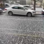 Elazığ’da ceviz hasadı başladı thumbnail