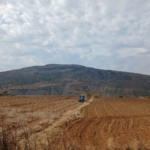 Diyarbakır’da iki aşiret arasındaki husumet iş adamı Çubuk’un aracılığıyla son buldu thumbnail