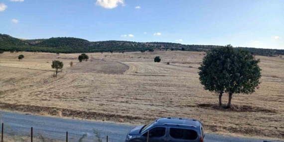 Kulp'ta Sağanak Yağmur Başladı: Çiftçilerin Umutları Yeniden Yeşerdi Kulp’ta Sağanak Yağmur Başladı: Çiftçilerin Umutları Yeniden Yeşerdi