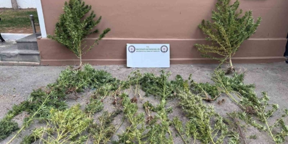 Mardin'de Şok Uyuşturucu Operasyonu: 3 Kişi Gözaltına Alındı Mardin’de Şok Uyuşturucu Operasyonu: 3 Kişi Gözaltına Alındı