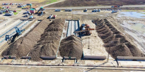 Muş Ovası'nda 1,7 Milyar TL'lik Tatlı Macera Muş Ovası’nda 1,7 Milyar TL’lik Tatlı Macera